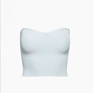Aritzia Babaton sculpted knit tube top.